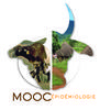  Une deuxième session du MOOC « Bases en épidémiologie des maladies animales et zoonotiques »