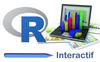 formation R interactif : programmer une application web avec Shiny