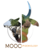 A second session of the MOOC "Basics in epidemiology of animal and zoonotic diseases" 