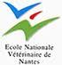 Ecole Nationale Vétérinaire de Nantes